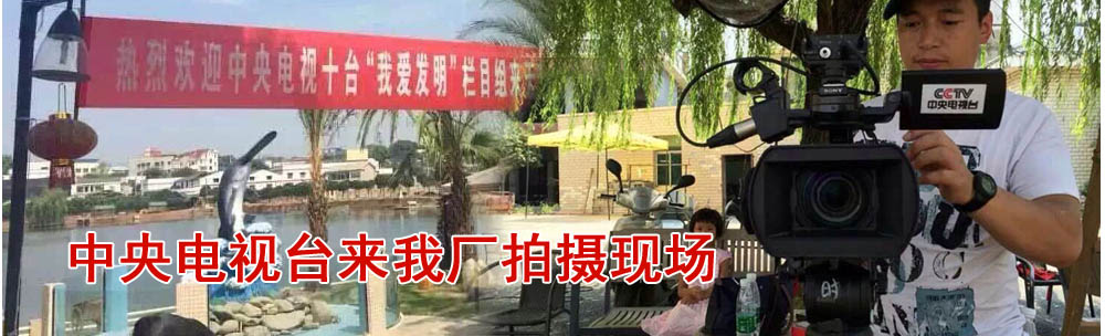榮譽(yù)資質(zhì)
